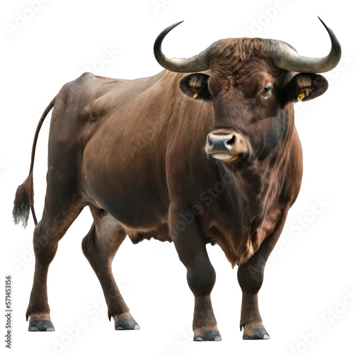 Animal Bull Design Elements Isolated Transparent Background  Graphic Masterpiece  Clear Alpha Channel for Overlays Web Design  Digital Art  PNG Image Format  generative AI