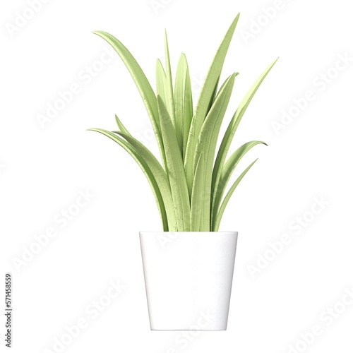 decorative flowers and plants for the interior  isolated on white background  3D illustration  cg render