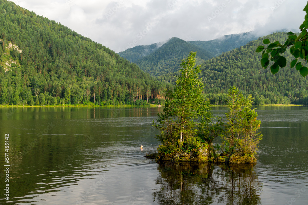 Fototapeta premium Summer landscape. A small island overgrown with trees in the middle of the river