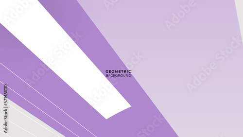 Geometric background of fashionable pastel color minimal concept, flat lay: white and purple.
