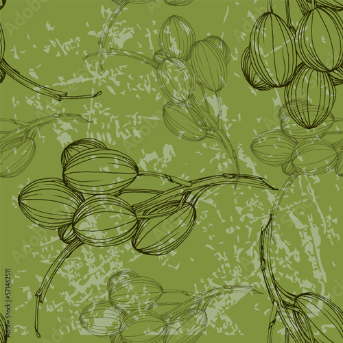 Seamless pattern with olive branch. Olive branches sketch. Vector hand drawing wildflower for background, texture, wrapper pattern.