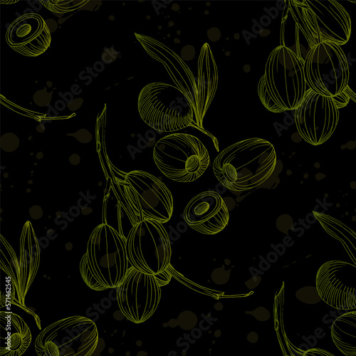 Seamless pattern with olive branch. Olive branches sketch. Vector hand drawing wildflower for background, texture, wrapper pattern.