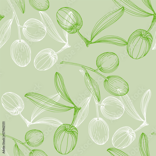 Seamless pattern with olive branch. Olive branches sketch. Vector hand drawing wildflower for background, texture, wrapper pattern.