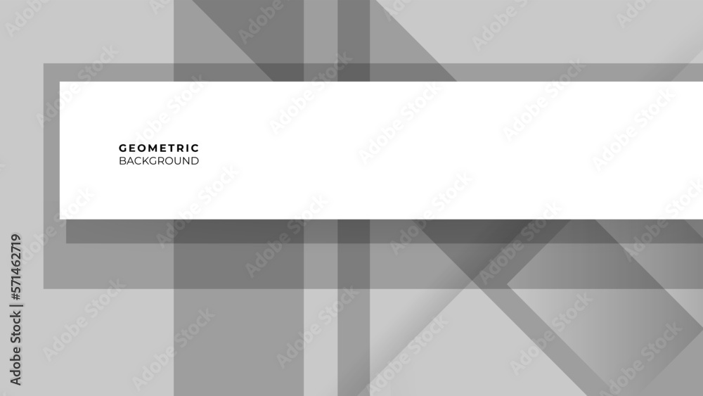 Obraz premium Abstract white and gray gradient stripe diagonal line background. Minimal vector stripes design. Simple texture graphic element.