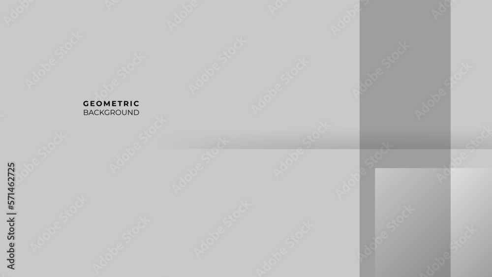 Obraz premium Abstract white and gray gradient stripe diagonal line background. Minimal vector stripes design. Simple texture graphic element.