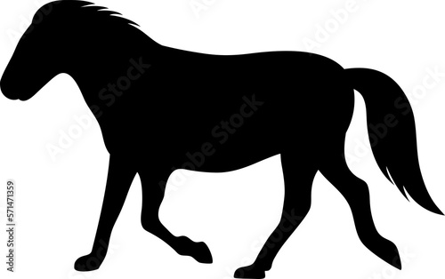 Silhouette of a walking foal. 
