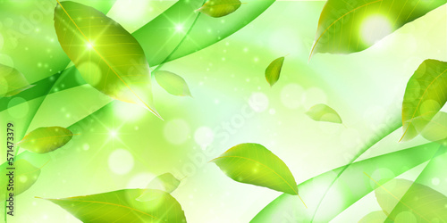 新緑　葉　風景　背景
