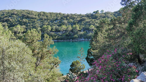 View of the beautiful forested Island of Mljet, Croatia photo