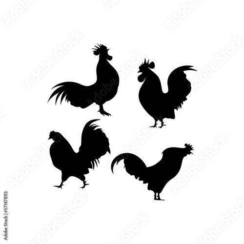 Rooster Silhouette On Premium Vector