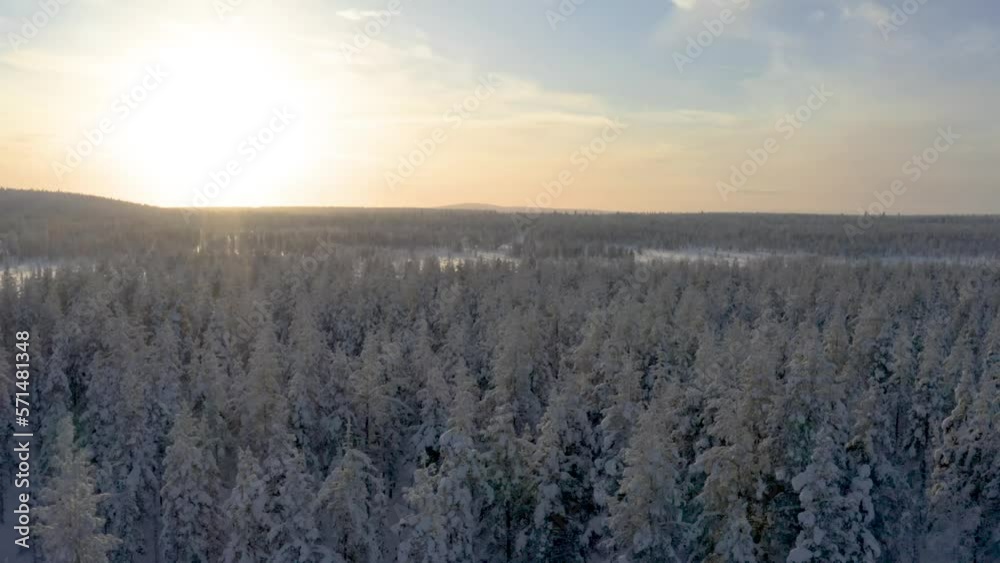 Arctic snow land during sunset fly over snowy forest in backcountry_part5 Arctic snow land during sunset fly over snowy forest in backcountry_part5