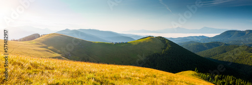 Morning mountain meadows illuminated by the sun on a summer day. Carpathian mountains, Ukraine.