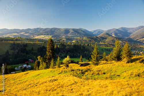Green rolling countryside in the morning light. Carpathian mountains, Ukraine. © Leonid Tit
