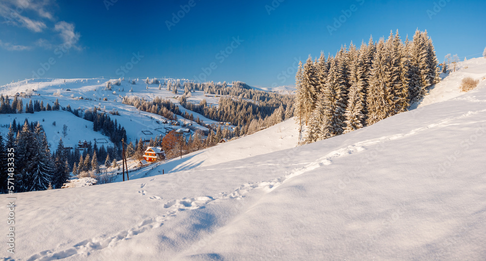 A frosty and sunny day in the mountainous area. Carpathian mountains, Ukraine.