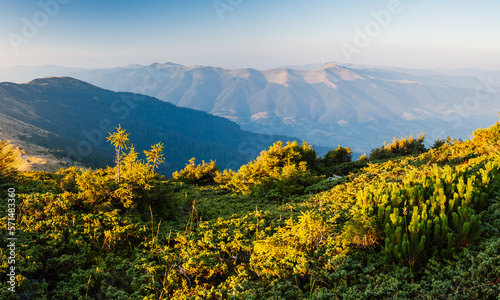 A picturesque view of a mountain valley in the morning. Carpathian mountains, Ukraine.