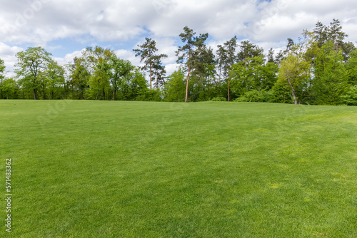 Big lawn with low grass on background of different trees