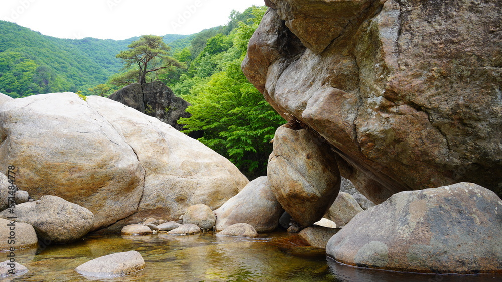 Beautiful summer valley scenery in Korea