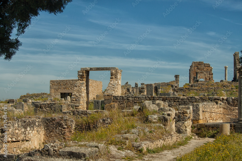 View on basilica and Forum at Volubilis in Morocoo
