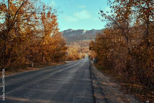 road in autumn forest