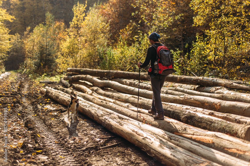 Hiker in camping equipment walking with dog in forest Hiker in camping equipment walking with dog in forest