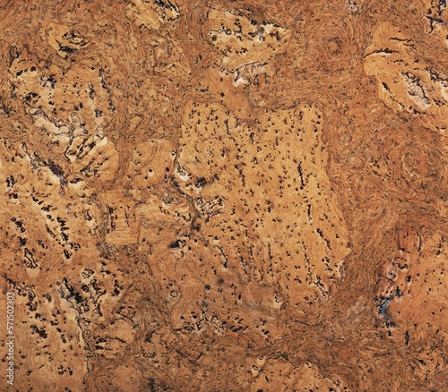 A wood texture from a wall