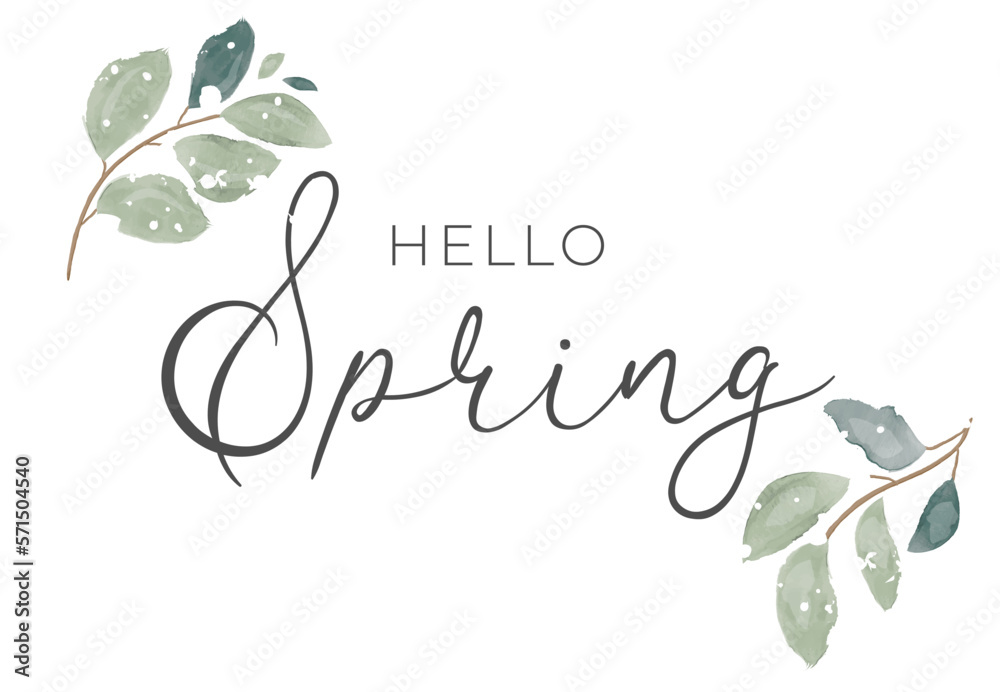 Hello spring. Spring word on white background With leaves. Hand drawn Calligraphy lettering Vector illustration Hello spring. Spring word on white background With leaves. Hand drawn Calligraphy lettering Vector illustration