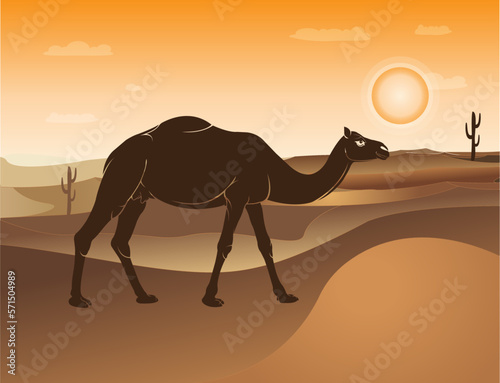 Majestic Camel in Golden Sun and  Sky Landscape