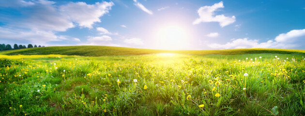 Beautiful panoramic natural landscape of a green field with grass against a blue sky with sun. Spring summer blurred background.