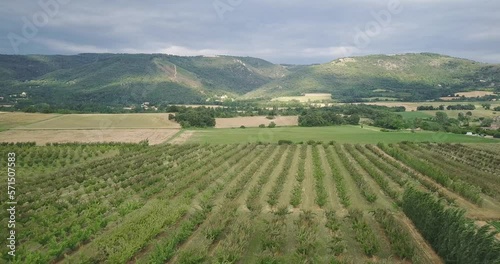 Wallpaper Mural Aerial view of an orchard with clouds shadow dancing over the mountain Torontodigital.ca