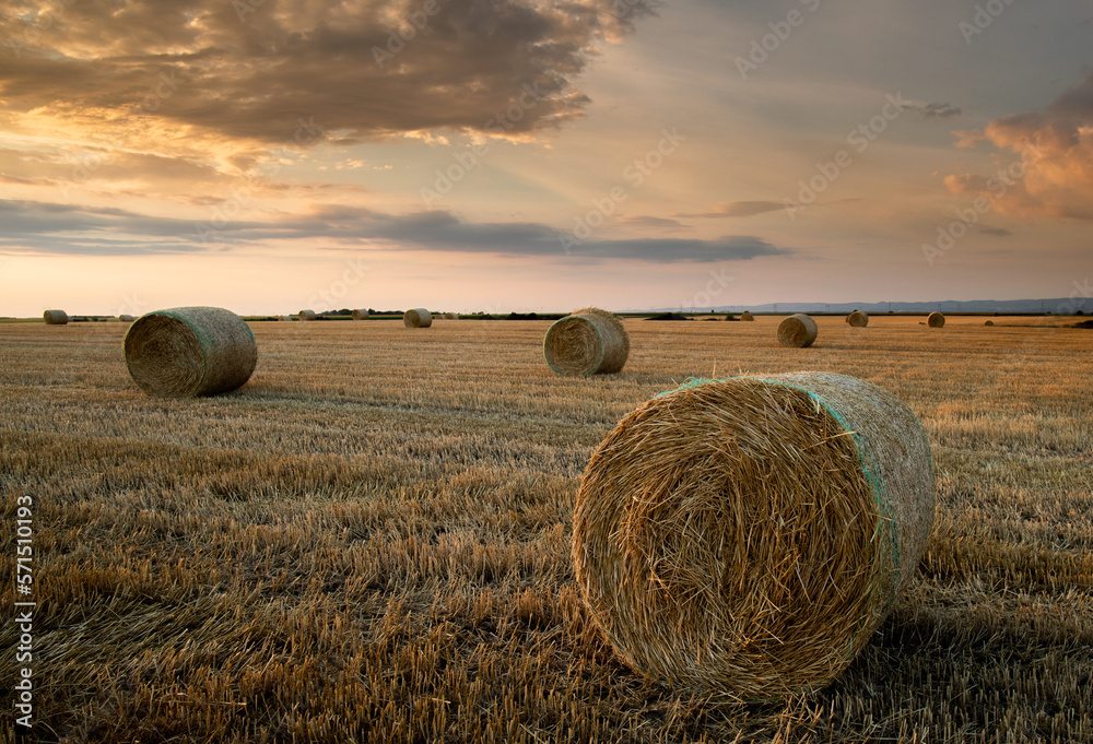 Stubble field and hay bales