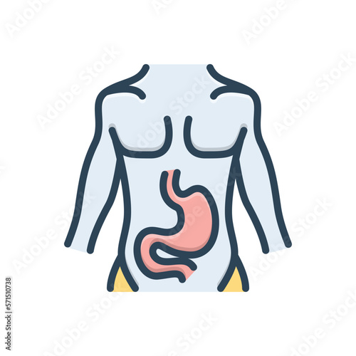 Color illustration icon for stomach