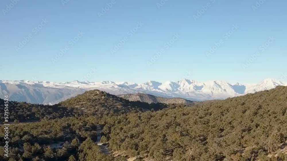 Aerial distant view of Eastern Sierra with green pine trees with blue sky in foreground in California USA Aerial distant view of Eastern Sierra with green pine trees with blue sky in foreground in California USA