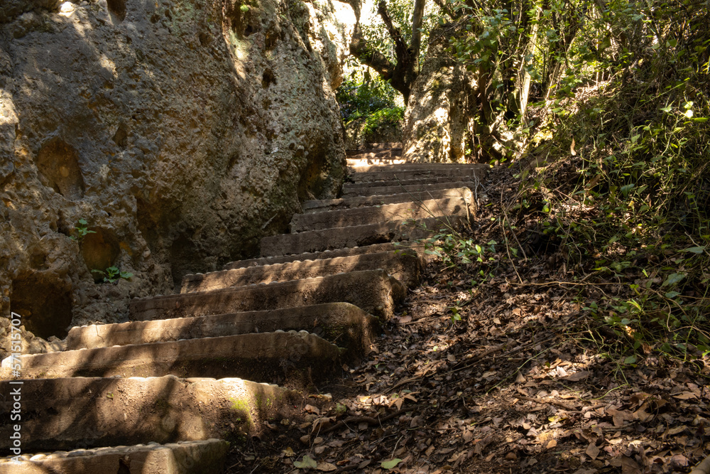 High, winding, stone steps in the forest in the breaking rays of the sun