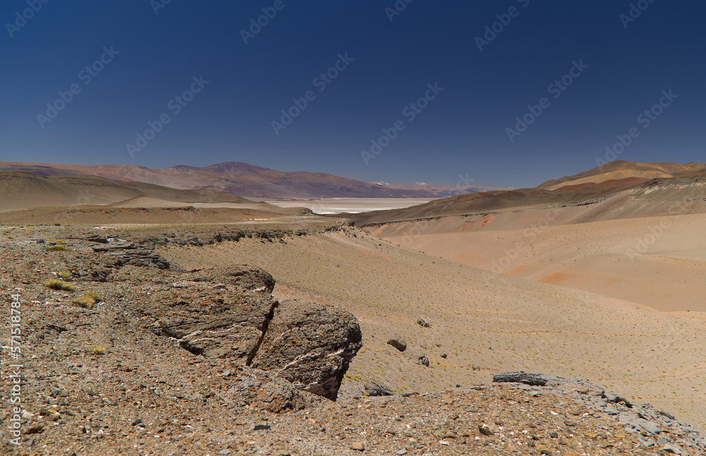 Puna landscape near the Antofalla Salar, Argentina Puna landscape near the Antofalla Salar, Argentina