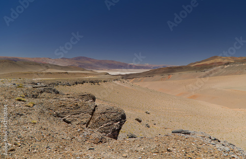 Puna landscape near the Antofalla Salar, Argentina