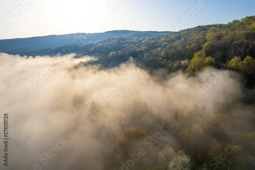 Fog covers the mountain forest. Mountain inversion. Highlands under the fog. Foggy sunrise in the mountains. Aerial view of fog-covered forest. © Grzegorz