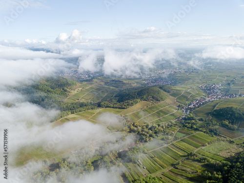 view of rhine valley vineyards and hills palatinate germany