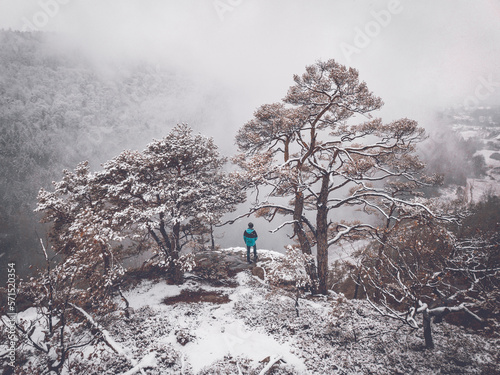 guy between snow covered trees, view at palatine valley