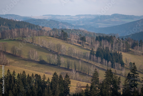 Bohemian hills with a view of the hills, forests and meadows and lines of birches