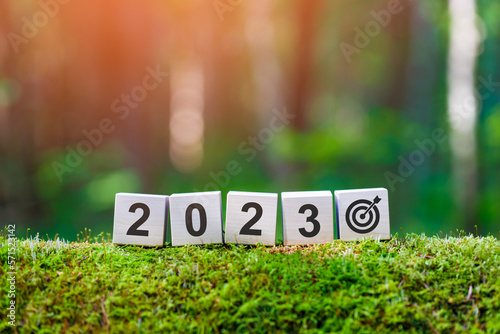 Goal 2023. Wooden cubes with numbers 2023 and target icon on mossy fallen tree in summer forest in focus. Background blurred.