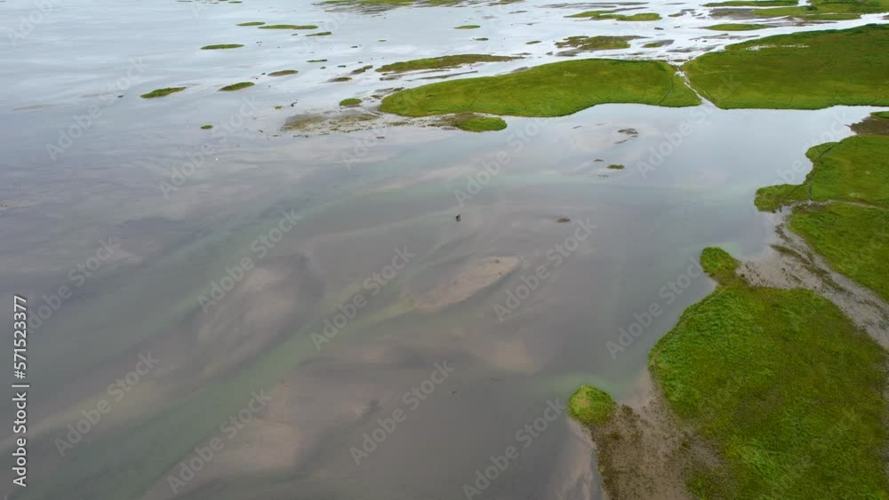 Scenic Drone shot of a bear hunting salmon in a shallow lagoon of in the Aleutian Islands, Alaska. Scenic Drone shot of a bear hunting salmon in a shallow lagoon of in the Aleutian Islands, Alaska.