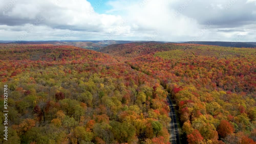 cloudy aerial view of autumn leaves in Northwest USA cloudy aerial view of autumn leaves in Northwest USA