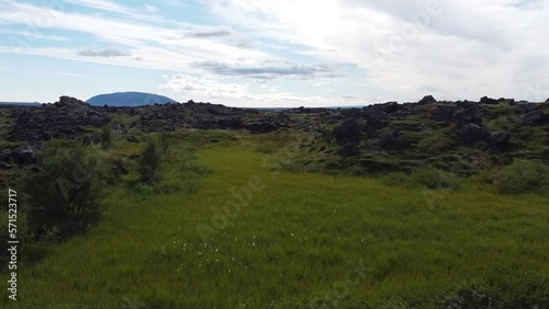 Wallpaper Mural Volcanic rock covered landscape in Iceland, travel destination for hiking, drone view Torontodigital.ca