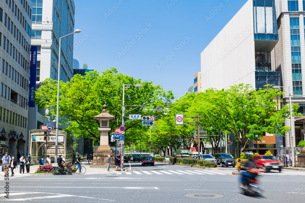 Obraz premium 東京 表参道
