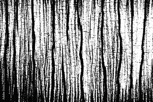 Grunge texture, imitation of tree bark. Vector design.
