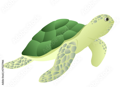 Green turtle vector illustration design