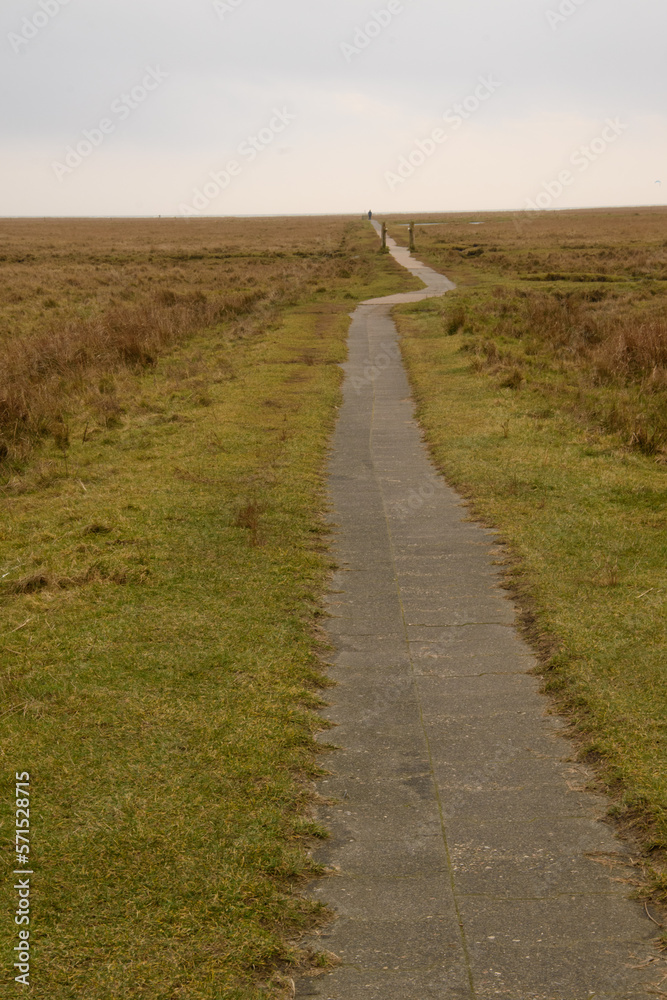 Fototapeta premium Weg durch die Salzwiesen von St. Peter-Ording Sie sind ein natürlicher Übergang von Land und Meer und ein streng geschützter Lebensraum für ca. 50 Vogelarten und fast 2000 Insekten- und Käferarten.