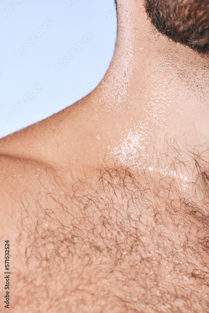 Water drops, wet torso and closeup man in shower for cleaning, care and wellness on background. Beauty, human body and hairy chest in studio for washing, grooming and hygiene cosmetics for skincare