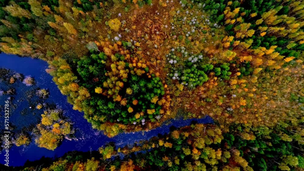 drone view of beautiful foliage of green adn yellow tree tops surrounded by blue lake drone view of beautiful foliage of green adn yellow tree tops surrounded by blue lake