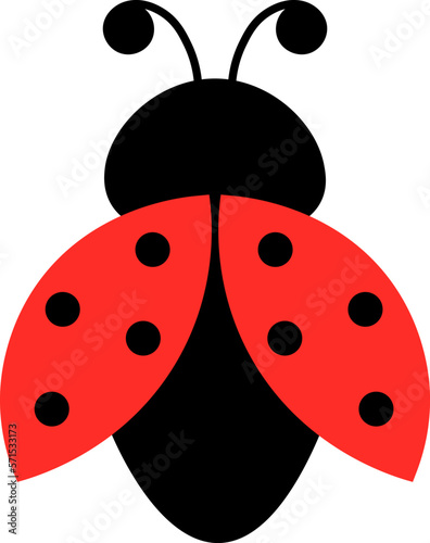 Cute insect Ladybug vector illustration