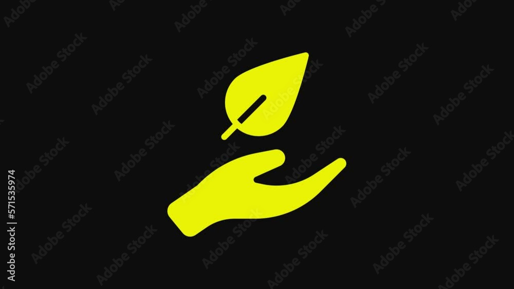 Yellow Hand hold a leaf of the plant icon isolated on black background. Care nature. Leaf shoots with environmental protection. 4K Video motion graphic animation Yellow Hand hold a leaf of the plant icon isolated on black background. Care nature. Leaf shoots with environmental protection. 4K Video motion graphic animation